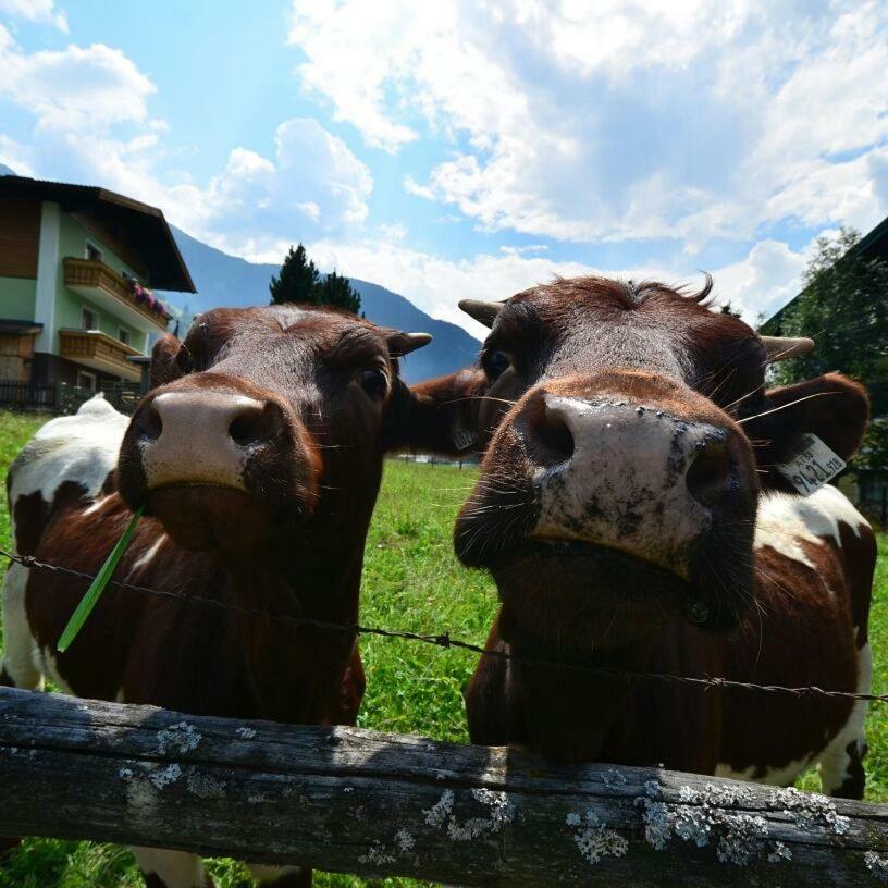 Landhaus Rieser Lägenhet Bad Hofgastein Exteriör bild